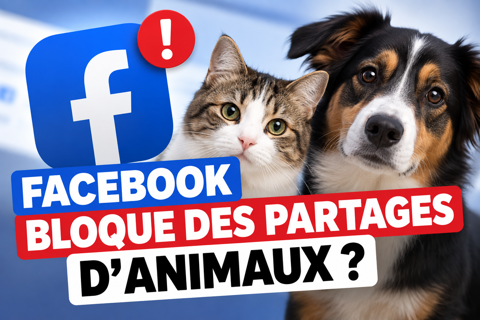 Facebook partage animaux