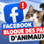 Facebook bloque les partages d’animaux : pourquoi ?