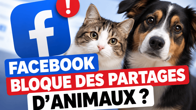 Facebook partage animaux