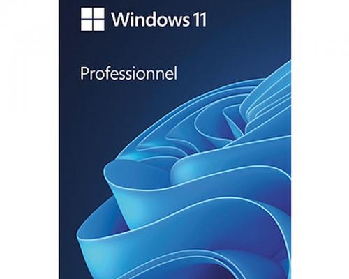 Licencewindows11